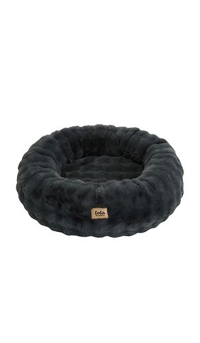 Medium Bubble Round Pet Bed in - Lola Blankets - Modalova