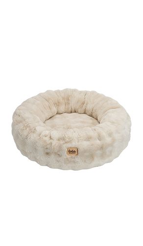 Medium Bubble Round Pet Bed in - Lola Blankets - Modalova
