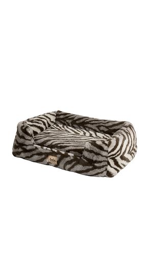 Medium Pet Bed in - Lola Blankets - Modalova