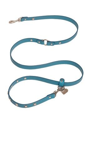 Little Beast Cowboy Leash in Blue - Little Beast - Modalova