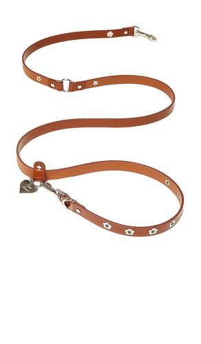 Flower Power Leash in Brown - Little Beast - Modalova