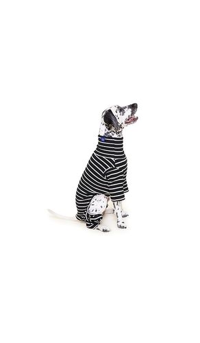 Cafe in Paris Onesie in . Taglia S. Also in - Little Beast - Modalova