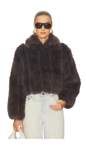 Jax Jacket in . Size L. Also in M, S, XL, XS - Line & Dot - Modalova