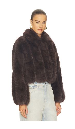 Jax Jacket in . Size L. Also in M, S, XL, XS - Line & Dot - Modalova