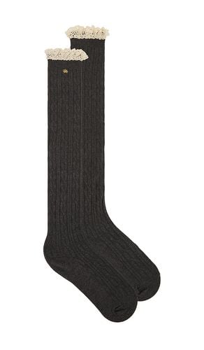 Victoria Knee High Sock in - Lele Sadoughi - Modalova