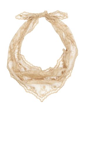 Audrey Lace Scarf in - Lele Sadoughi - Modalova