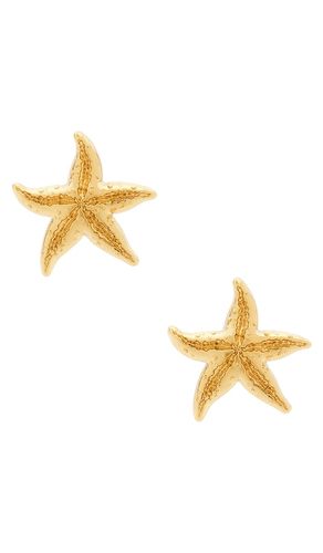 Starfish button earrings in color metallic size all - Lele Sadoughi - Modalova