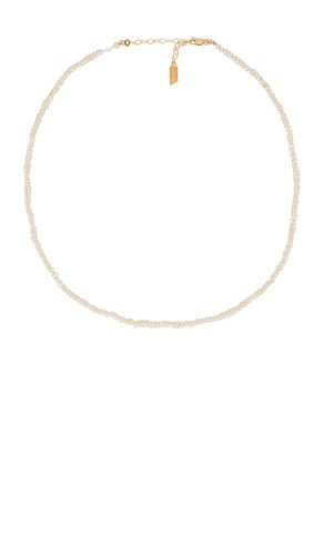 Baby Pearl Choker in - Loren Stewart - Modalova