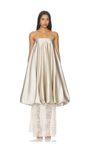 Champagne Lace Gown in Metallic . - size M (also in L, XL) - LA FUORI - Modalova