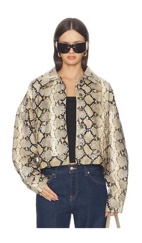 Angel Jacket in . Size M. Also in S - LIONESS - Modalova
