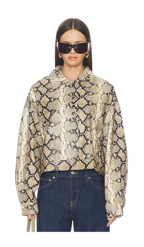 Angel Jacket in . Taglia M. Also in S - LIONESS - Modalova