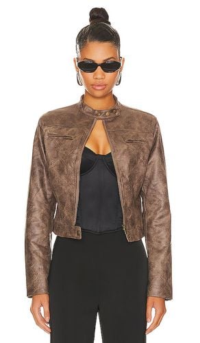 Bella Moto Jacket in . - size L (also in M, S, XL, XS, XXL, XXS) - LIONESS - Modalova