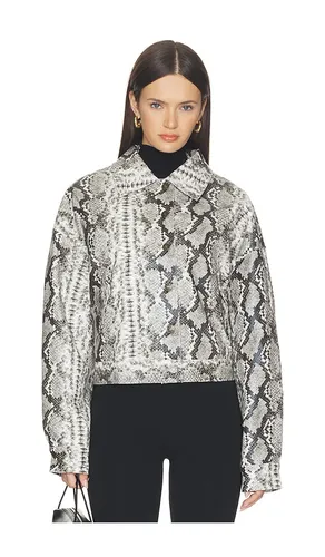 Angel Jacket in Grey. - size L (also in M, S, XL, XS, XXL, XXS) - LIONESS - Modalova
