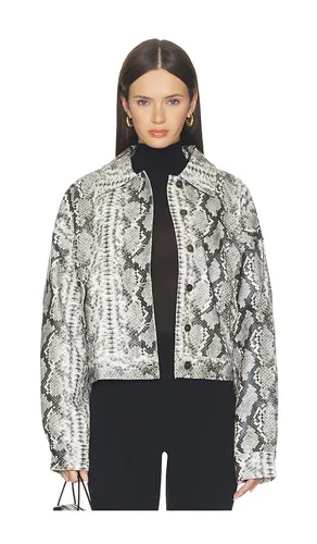 Angel Jacket in Grey. - size L (also in M, S, XL, XS, XXL, XXS) - LIONESS - Modalova