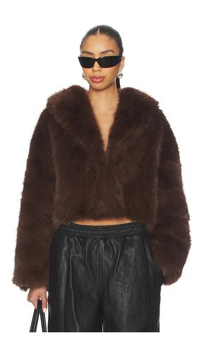 Madame Faux Fur Jacket in . - size L (also in XXL) - LIONESS - Modalova