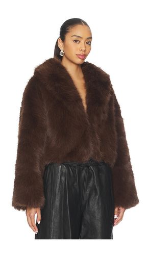 Madame Faux Fur Jacket in . - size L (also in XXL) - LIONESS - Modalova