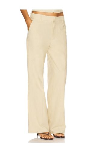 Elements Pant in . Taglia L. Also in XL - LIONESS - Modalova