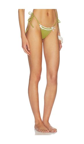 X REVOLVE Azuri Bikini Bottom in . - size L (also in M, S, XL, XS, XXS) - LIONESS - Modalova
