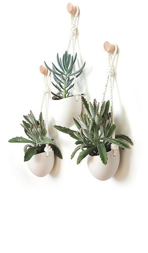 Spora Hanging Planter & Maple Hook Set in White - Light + Ladder - Modalova