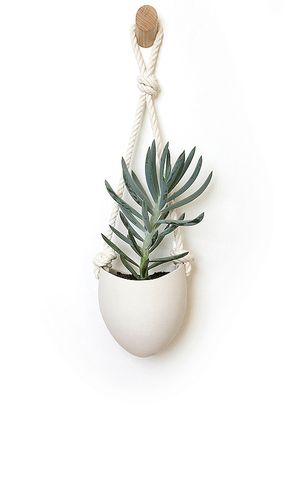 Spora Hanging Planter & Maple Hook Set in - Light + Ladder - Modalova