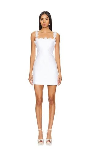 Luza Mini Dress in . - size 0 (also in 00, 12, 2, 4, 6, 8) - LIKELY - Modalova