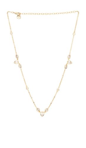 Aurora Choker in - Lili Claspe - Modalova