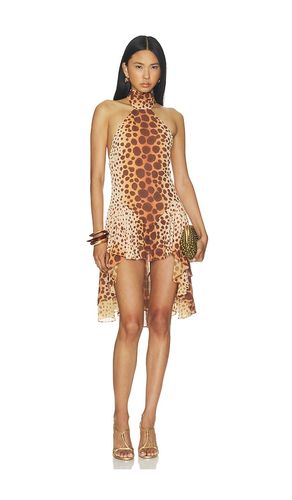 Jennifer Hi Low Mini Dress in . Size L. Also in XXS - LOBA - Modalova