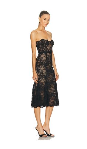 Lucienne Lace Midi Dress in . - size S (also in XXS) - LOBA - Modalova