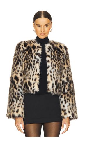 Purrla Faux Fur Jacket in Brown. - size L (also in M, S, XL, XS) - LOBA - Modalova