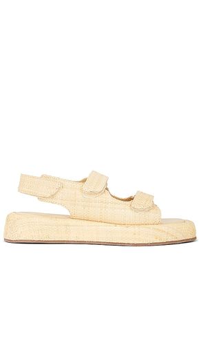 Blaise Sandal in . Size 6, 8, 9, 9.5 - Loeffler Randall - Modalova