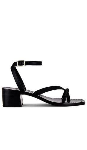 Sandalia eloise en color talla 6 en - Black. Talla 6 (también en 6.5) - Loeffler Randall - Modalova