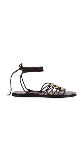 Mella Strappy Sandal in Brown. - size 10 (also in 6, 6.5, 7, 7.5, 8, 8.5) - Loeffler Randall - Modalova