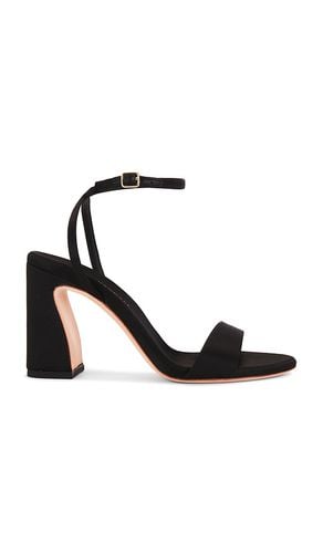 Tacón malia en color talla 10 en - Black. Talla 10 (también en 6, 6.5, 7, 7.5, 8, 8.5, 9, 9.5) - Loeffler Randall - Modalova