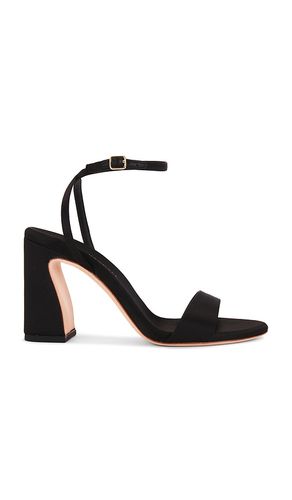 Malia Heel in . - size 6.5 (also in 7.5) - Loeffler Randall - Modalova