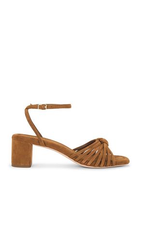 Olivia Sandal in Brown. - size 6.5 (also in 7, 7.5, 8, 8.5, 9, 9.5) - Loeffler Randall - Modalova