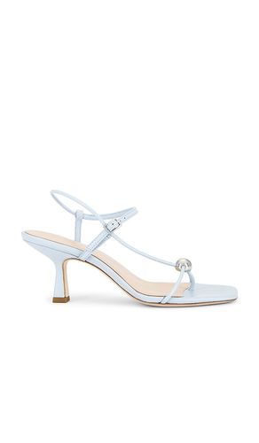 Triana Sandal in Baby . - size 6 (also in 7, 8, 9, 9.5) - Loeffler Randall - Modalova