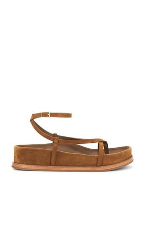 Ankle Wrap Footbed Sandal in Brown. - size 10 (also in 6, 6.5, 7, 7.5, 8, 8.5, 9) - Loeffler Randall - Modalova