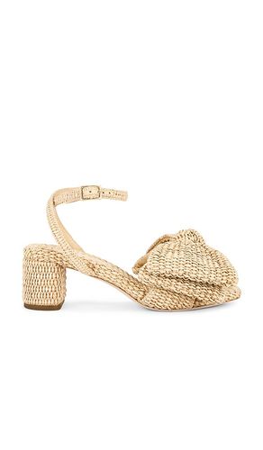Carmen Bow Sandal in . Size 7.5, 8, 8.5, 9 - Loeffler Randall - Modalova