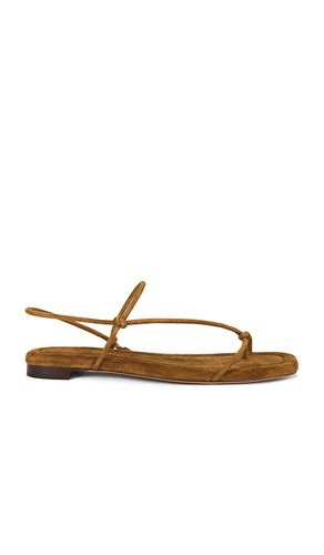 Eleanor Sandal in Brown. - size 6 (also in 6.5, 7, 7.5, 8, 8.5, 9, 9.5) - Loeffler Randall - Modalova