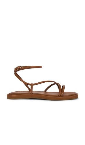 Noor Strappy Ankle Wrap Flat Sandal in . Size 8. Also in 8.5 - Loeffler Randall - Modalova