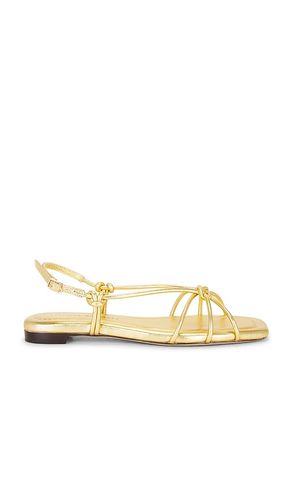 Karly Strappy Flat Sandal in . Taglia 6.5. Also in 8 - Loeffler Randall - Modalova