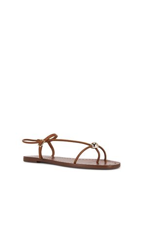 Lara Strappy Flat Sandal in . Size 10. Also in 7 - Loeffler Randall - Modalova