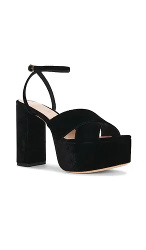 Loretta Platform Sandal in . Size 6. Also in 7, 7.5, 8, 8.5, 9, 10 - Loeffler Randall - Modalova