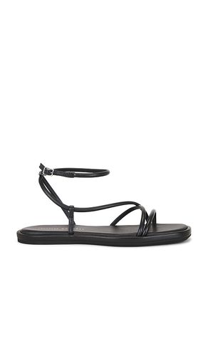 Noor Strappy Ankle Wrap Flat Sandal in . Size 10. Also in 7, 7.5, 8.5, 9, 9.5 - Loeffler Randall - Modalova