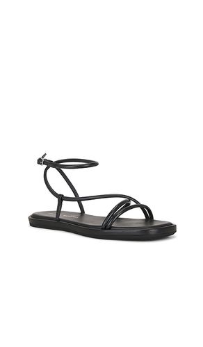 Noor Strappy Ankle Wrap Flat Sandal in . - size 7 (also in 7.5, 9, 9.5) - Loeffler Randall - Modalova