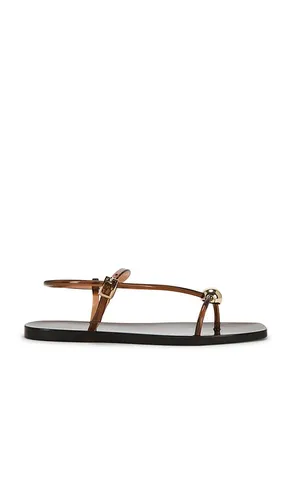 Dana Strappy Jelly Sandal in . Size 10. Also in 7, 8 - Loeffler Randall - Modalova