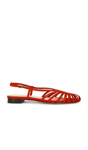 Devon Slingback Sandal in . Size 7. Also in 8 - Loeffler Randall - Modalova