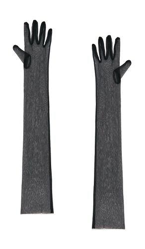 Jayne Sheer Gloves in - Lovers and Friends - Modalova