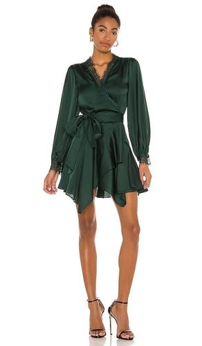 Nadeen Mini Dress in Green. - size M (also in S, XS) - Lovers and Friends - Modalova