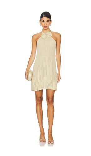 Nance Mini Dress in Neutral. - size L (also in M, S, XL, XS, XXS) - Lovers and Friends - Modalova